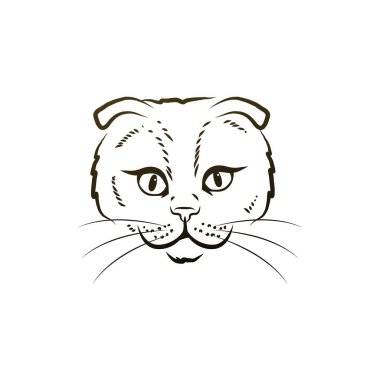 Beyaz arkaplanda kedi kafası vektör çizimi.