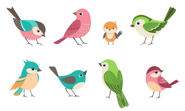 Groupe Oiseaux Moineaux Différentes Couleurs Tailles Sarcelle Turquoise Vert Rose — Image vectorielle