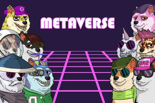 Doge, NFT karakter koleksiyonu. Web 3 'ün dünyasında metaverse. İnternetin geleceği. Blockchain tabanlı sanat ve mim vektör illüstrasyonu