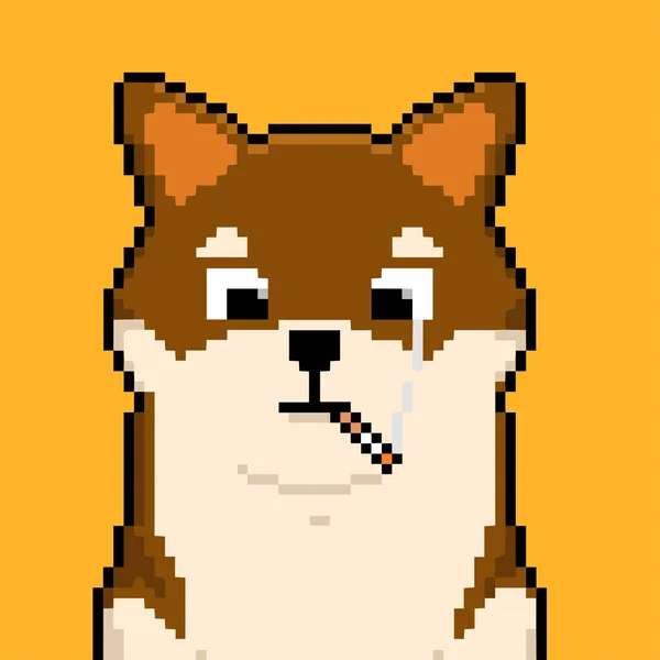 Иллюстрация Собаки Породы Шиба Битный Пиксельный Дож Арт Nft Базовый — стоковый вектор