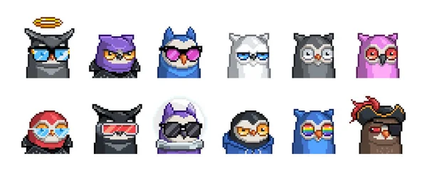 Ünlü pikselci kuş karakteri NFT. 16 bit retro sanat. Moonbirds koleksiyon örneği beyaz arkaplanda izole edildi