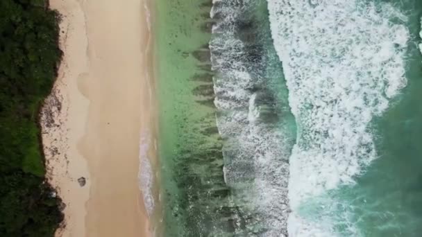 Retour Arrière Sur Une Magnifique Plage Tropicale Paradisiaque Une Falaise — Video