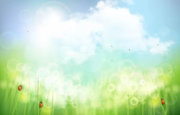 美丽的自然背景 白云蓝天装饰 随风飘扬的野草 瓢虫丛生 描述春天或夏天到来时的室外氛围 基本Rgb — 图库矢量图片