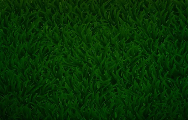 Textura Fundo Grama Verde Natural Ângulo Superior Natureza Verde Ambiente — Vetor de Stock