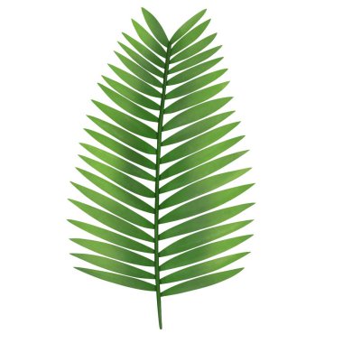 Palmiye yaprağı suluboya tasarımı, beyaz arkaplana bir resim çiz.