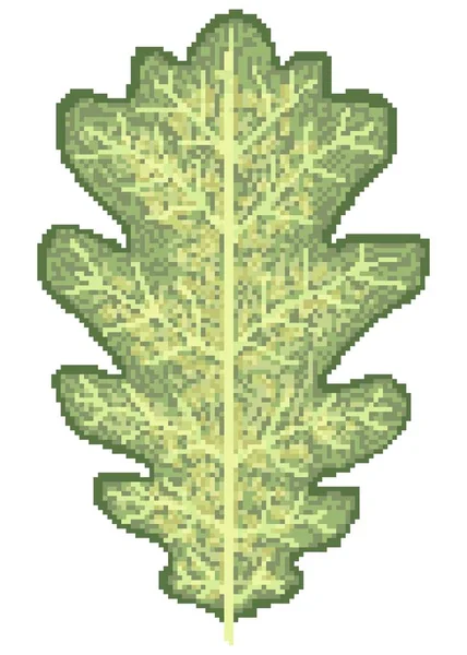 Beyaz Arkaplanda Meşe Yaprağı Piksel Sanatı — Stok fotoğraf