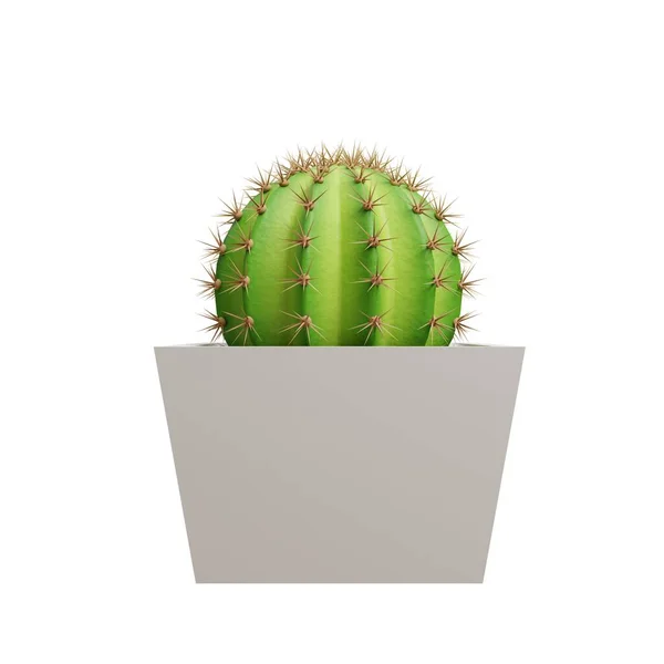 Cactus Melocactus front picture. 3d rendering.