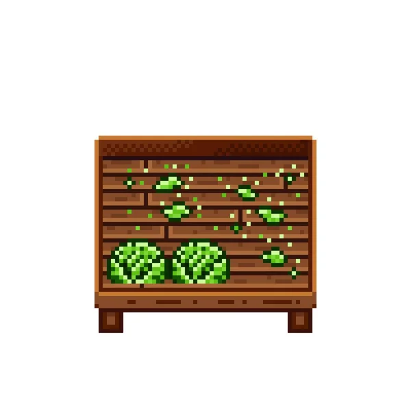 Vegetable Shop Pixel Art Cabbage Wooden Crate Green Headed Cabbage — Stockový vektor