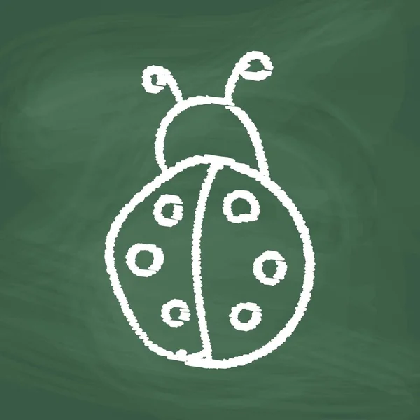 Ladybug Line Icon Design White Chalk Draw Picture Blackboard — Stock Vector