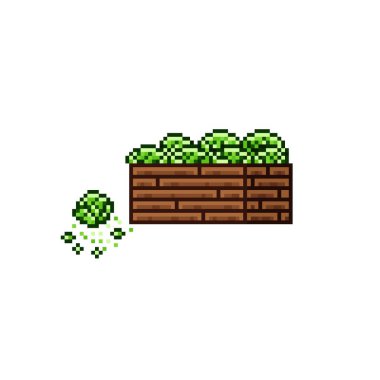 Vegetable shop pixel art. Cabbage in a wooden crate. Green headed cabbage, pixel art on white background.