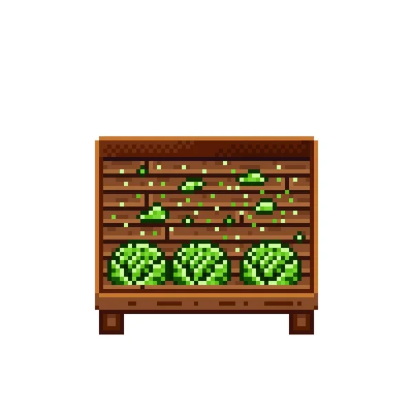 Vegetable Shop Pixel Art Zelí Dřevěné Bedně Zelené Hlávkové Zelí — Stockový vektor