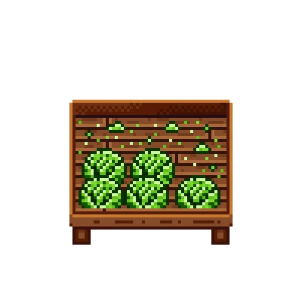 Vegetable Shop Pixel Art Cabbage Wooden Crate Green Headed Cabbage — Stockový vektor