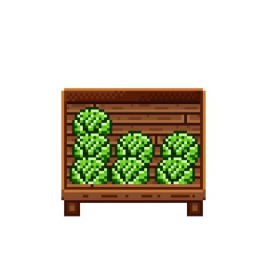 Vegetable shop pixel art. Cabbage in a wooden crate. Green headed cabbage, pixel art on white background.