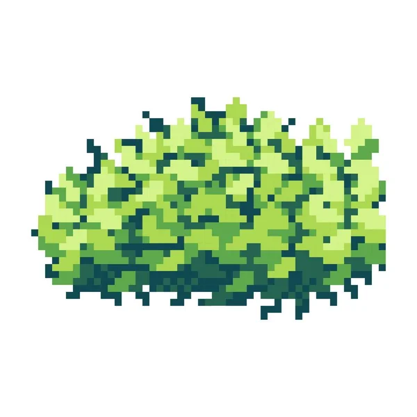 绿色灌木像素艺术 矢量说明 — 图库矢量图片