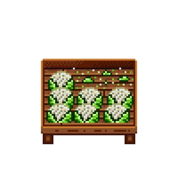 Tienda Verduras Pixel Art Coliflor Una Caja Madera Coliflor Cabeza — Vector de stock