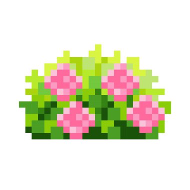 Gül çalısı pikseli. Dekoratif çalı pikseli sanat. Vektör çizimi. Sevgililer Günü. 