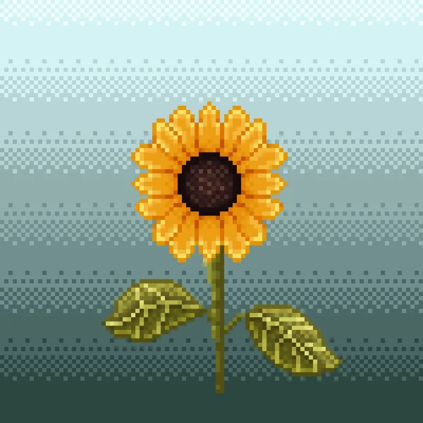 Sunflower Icon Pixel Art — Stok Vektör