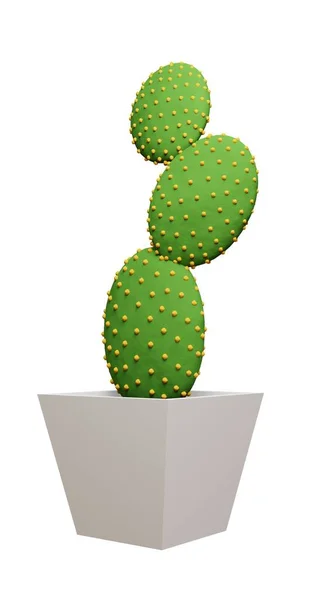 Cactus Opuntia Microdasys Picture Rendering — 图库照片