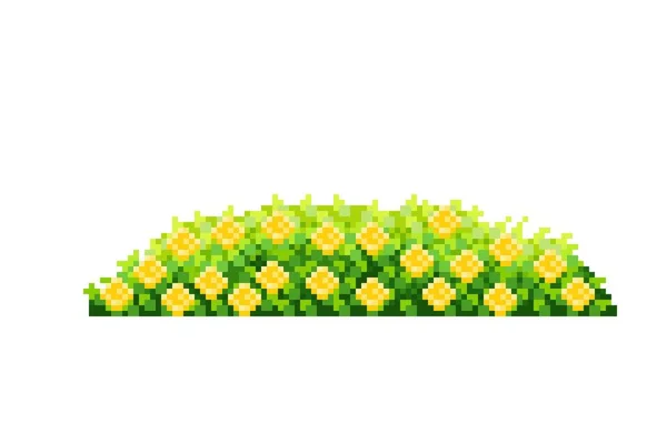 Rose Bush Pixel Art Decorative Bush Pixel Art Vector Illustration — Stock Vector