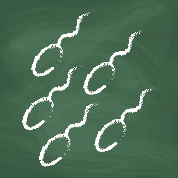Çizgi Film Sperm Hücre Çizgisi Simgesi Sperm Hücresi Çizimi Vektör — Stok Vektör