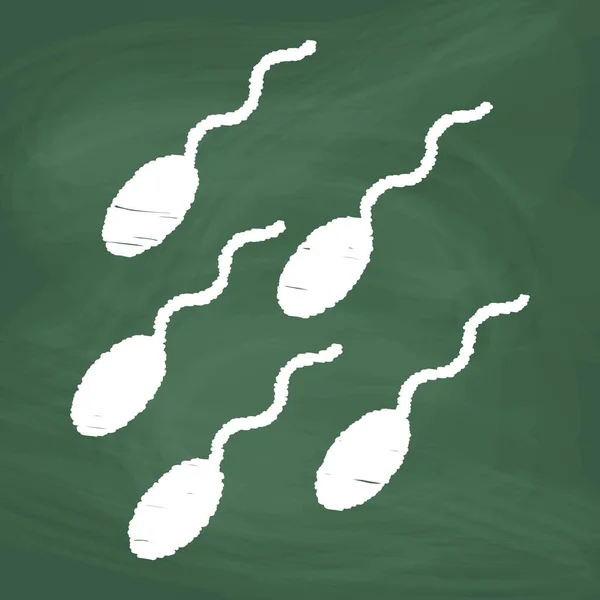 Sperm Cell Line Icon Design White Chalk Draw Picture Blackboard — Vetor de Stock