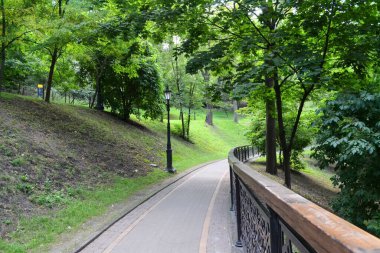 Parktaki yeşil ağaçlar