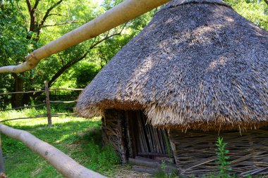 Köy evi, yazları sazdan çatı evi, köy evleri mimarisi.