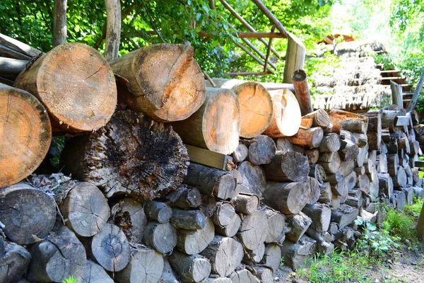 Old Rusty Chopped Pine Logs — Stock Photo, Image