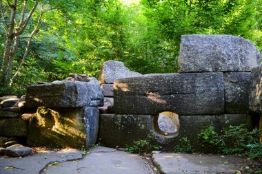 Ormandaki dolarlar, tarihi binalar, arkeolojik alanlar, güç merkezleri.