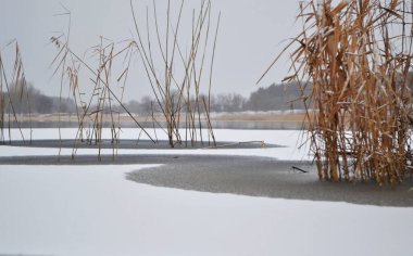 Yerdeki bir gölde sazlıklar, buz ve karla kaplı bir göl..