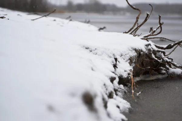 Nehir kıyısı karla kaplı, kış manzarası, göl kenarında kış.
