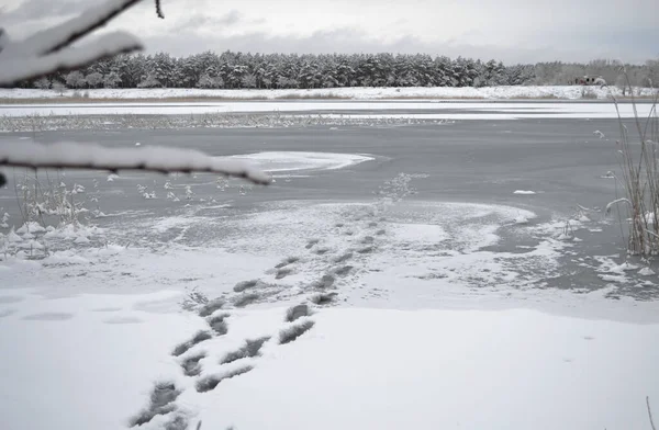 Footprints on the frozen river, footprints in the snow.