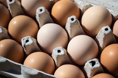 Kutudaki yumurtalar güneş ışığında yakın plan..