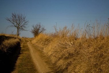 Toprak bir yolun güzel bir görüntüsü