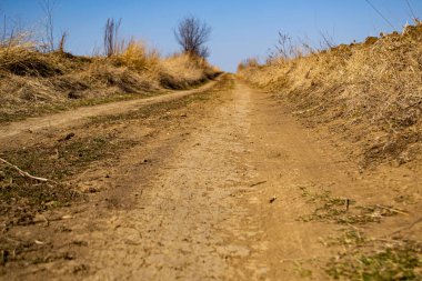 Toprak yol, kum ve ülke. Kırsal kesimde kırsal alan.