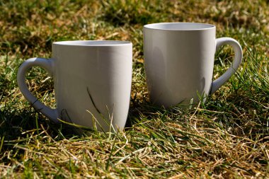 Beyaz bardaklar yeşil çimlerde beyaz bardaklar doğada yakın plan, kırsal alanda yeşil çimenlerin üzerinde bir kupa