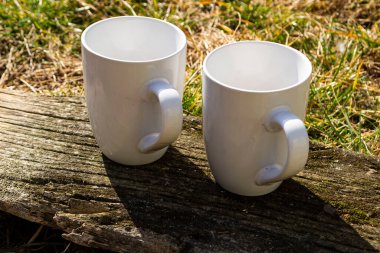 Beyaz kupalar yeşil çimlerde beyaz bardaklar doğada yakın plan, kırsal alanda yeşil çimenlerin üzerinde bir kupa