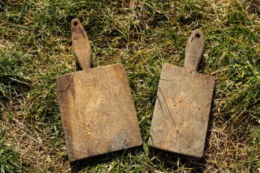 Orman arka planında eski ahşap masa