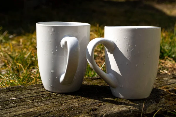 Beyaz bardaklar yeşil çimlerde beyaz bardaklar doğada yakın plan, kırsal alanda yeşil çimenlerin üzerinde bir kupa