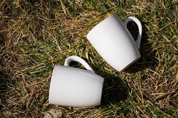 Білі Чашки Зеленій Траві Білі Чашки Природі Крупним Планом Чашка — стокове фото