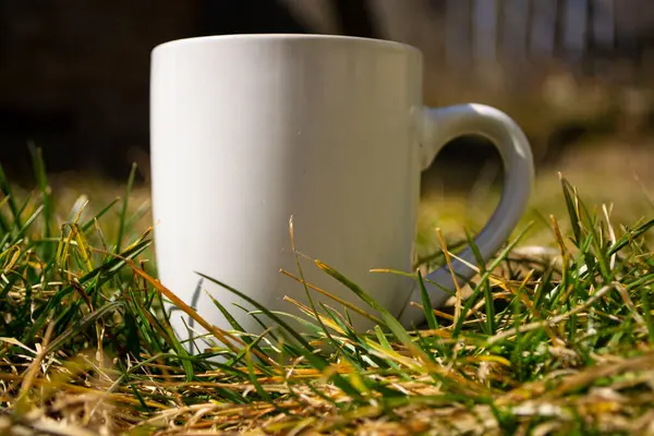 Чашка Кави Чашкою Чаю Дерев Яному Столі — стокове фото