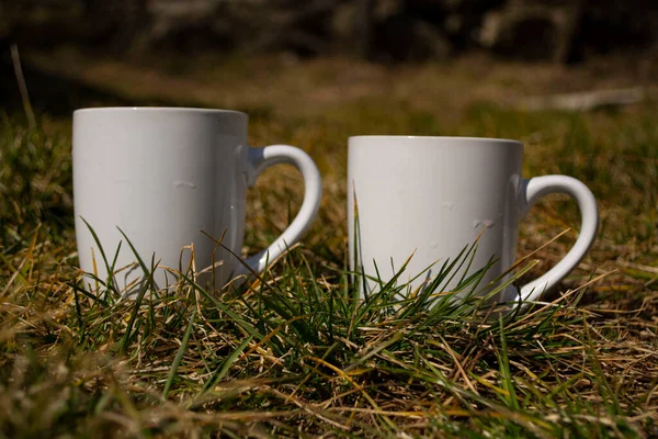 Білі Чашки Зеленій Траві Білі Чашки Природі Крупним Планом Чашка — стокове фото