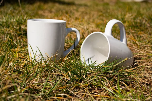 Vita Muggar Grönt Gräs Vita Koppar Naturen Närbild Mugg Landsbygden — Stockfoto