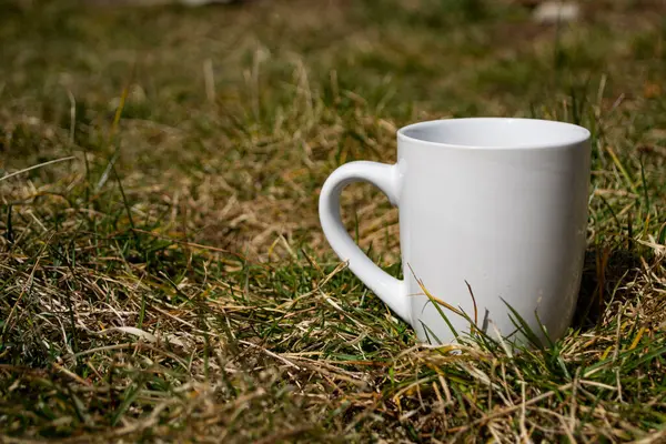 Kopp Kaffe Och Mugg Bakgrund Grönt Gräs — Stockfoto