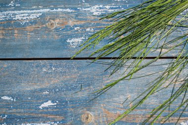 Doğanın güzel manzarası