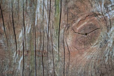 Eski ahşap doku, tahta tahta tahta, ahşap arka plan..