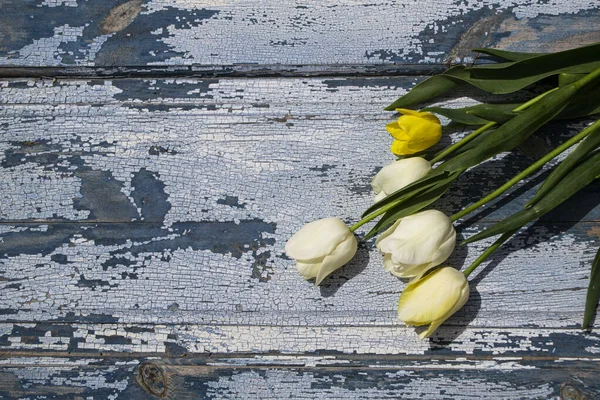 Ahşap zemin üzerinde sarı laleler, mavi ahşap zemin üzerinde sarı ve beyaz laleler..