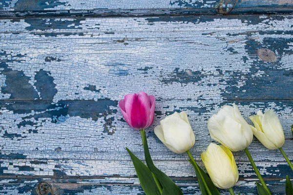 Ahşap zemin üzerinde sarı laleler, mavi ahşap zemin üzerinde sarı ve pembe laleler..