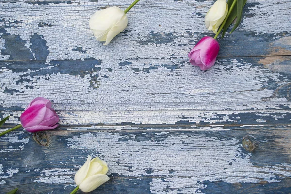 Ahşap zemin üzerinde sarı laleler, mavi ahşap zemin üzerinde sarı ve pembe laleler..