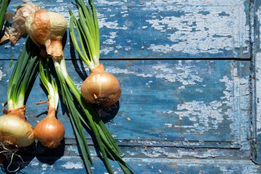 Mavi ahşap arka planda yeşil soğanlar, mavi masada sebzeler..